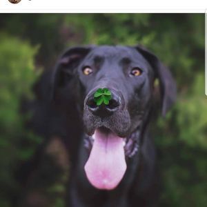 Meet your Posher, Caleb